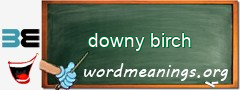 WordMeaning blackboard for downy birch